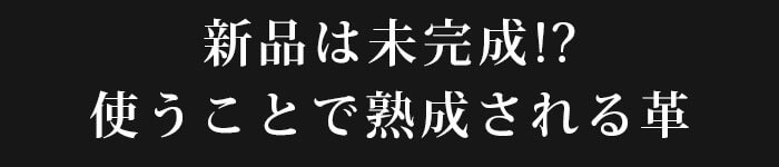 バイブル手帳